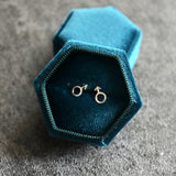 Boy Symbol Earrings