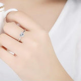 Ariz Ring
